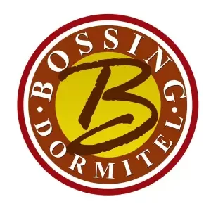 Bossing-Dormitel-Logo