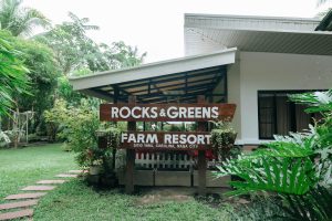 rocks and greens 2